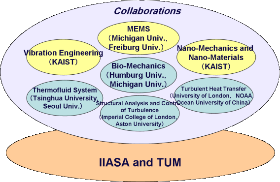 Networks of International Collaborations